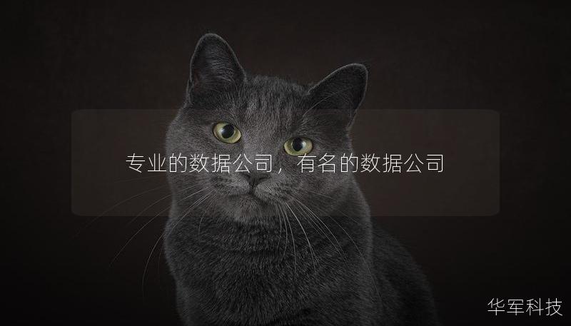 数据正在成为现代企业的“新石油”，而专业的数据公司则是帮助企业发掘、管理和应用数据的关键伙伴。本文深入探讨了专业数据公司在企业数字化转型中的重要性，并阐述了它们如何通过先进技术、深度分析和个性化解决方案，为企业提升竞争力和决策力。