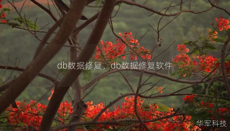 DB数据修复技术为企业的数据安全保驾护航，及时修复数据库中的错误，避免因数据丢失或损坏带来的经济损失和业务中断。本文将详细介绍DB数据修复的重要性及其主要方法，帮助企业在面对数据问题时快速恢复业务。