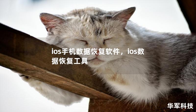 ios手机数据恢复软件，ios数据恢复工具