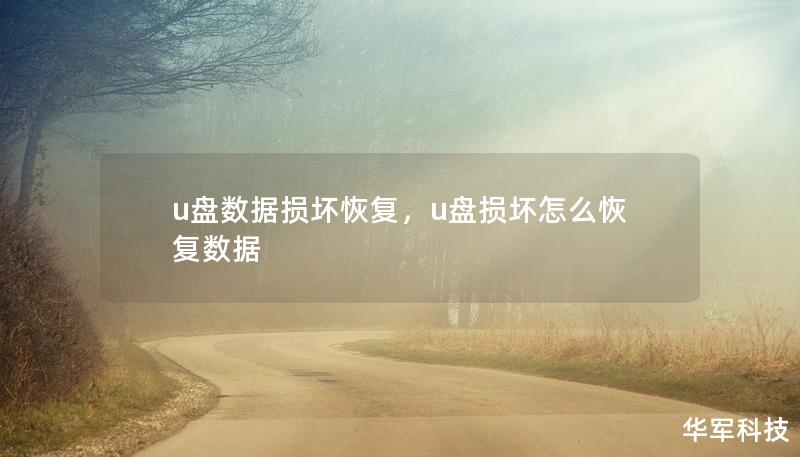 U盘数据损坏后，如何快速有效地恢复丢失的文件？本文为您详细讲解U盘数据损坏的常见原因，并提供高效的恢复方法与工具推荐，帮助您轻松找回丢失的资料。