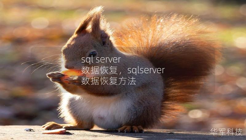 本文深度解析了SQLServer数据库的数据恢复策略与技术，旨在帮助企业在面对数据库故障时，快速找回重要数据，确保业务连续性，避免损失。无论是数据丢失、硬件故障，还是意外删除，本指南都将为您提供行之有效的恢复方法。