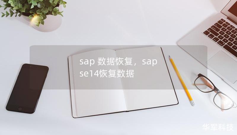 sap 数据恢复，sap se14恢复数据