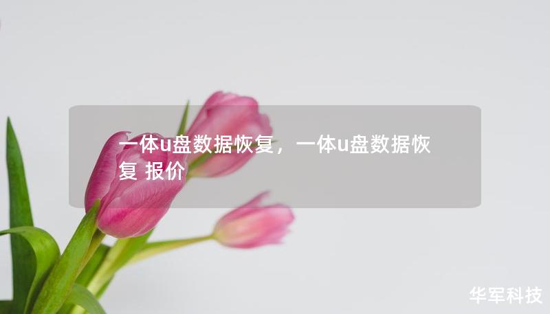 一体U盘数据恢复是一项针对意外数据丢失的便捷解决方案，无论是因误删、格式化还是设备损坏所导致的文件丢失，这篇文章将为您详细介绍如何快速、高效地恢复丢失的U盘数据，帮助您摆脱困境，找回重要文件。