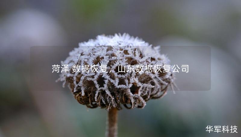 数据丢失是现代信息化社会中常见的问题，无论是个人重要的照片、视频，还是公司关键的文件，数据丢失都会带来极大的困扰和损失。本文将介绍菏泽数据恢复服务，帮助用户了解如何高效、专业地找回遗失的数据，避免不必要的损失。