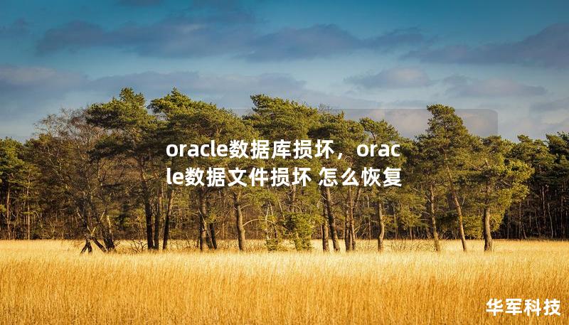 Oracle数据库损坏是企业数据管理中常见的难题，本文深入分析损坏原因，并提供了一系列有效的恢复技巧。通过这些方法，您可以最大限度地减少数据丢失和停机时间，确保业务连续性。