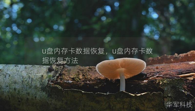 u盘内存卡数据恢复，u盘内存卡数据恢复方法