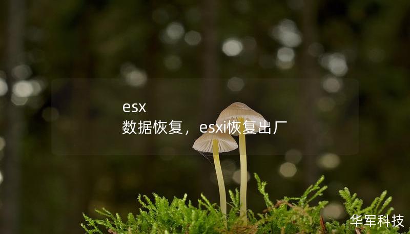 数据丢失是企业运营中不可避免的挑战，尤其是在虚拟化环境中。本文将详细讲解如何通过ESX数据恢复方案，快速、安全地恢复企业核心数据，保障业务持续运转。