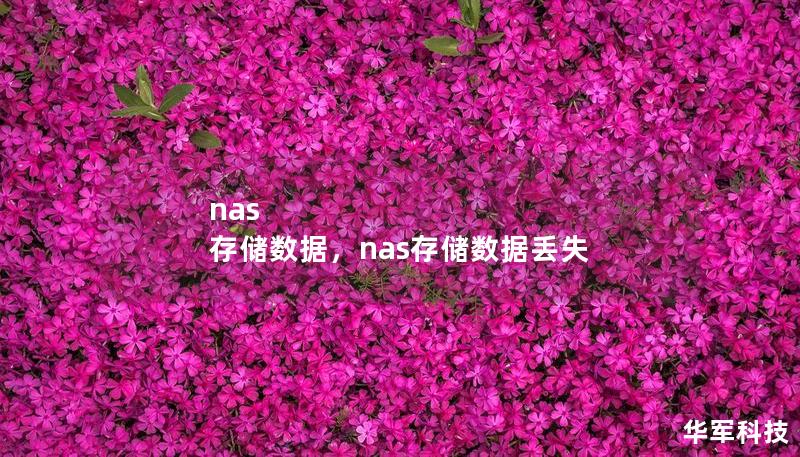 nas 存储数据，nas存储数据丢失