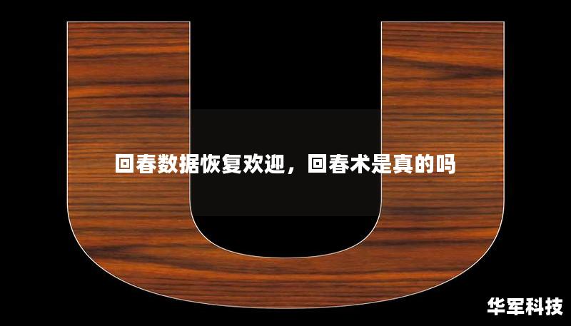 在信息技术高速发展的今天，数据安全与恢复成为了企业和个人不可忽视的重要课题。回春数据恢复，助您轻松应对数据丢失的烦恼，重拾数字生活的宝藏。