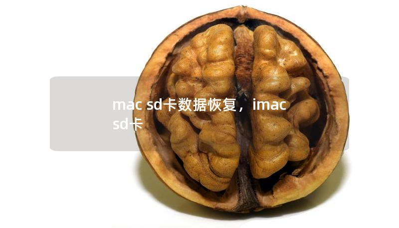 本文将为您详细介绍在Mac系统上如何高效、便捷地恢复SD卡数据，避免数据丢失带来的困扰。无论是照片、视频还是文档，我们将提供实用的方法和工具，帮助您轻松找回失去的数据。