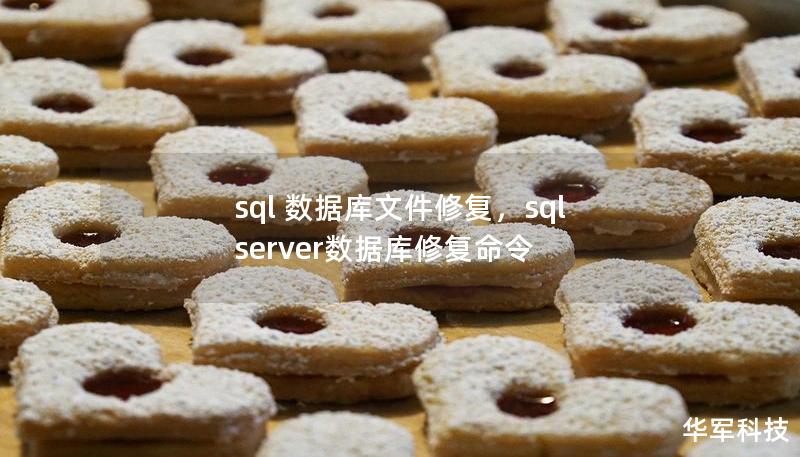 sql 数据库文件修复，sql server数据库修复命令