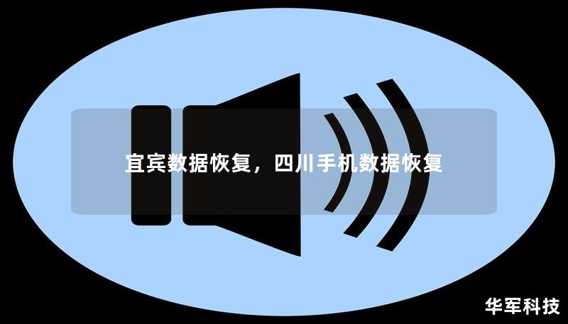 本文介绍了宜宾数据恢复服务的重要性、常见数据丢失情况及其恢复方法。通过详细的解读，让用户了解如何在数据丢失时选择专业的数据恢复公司，并提供一些日常防止数据丢失的建议。