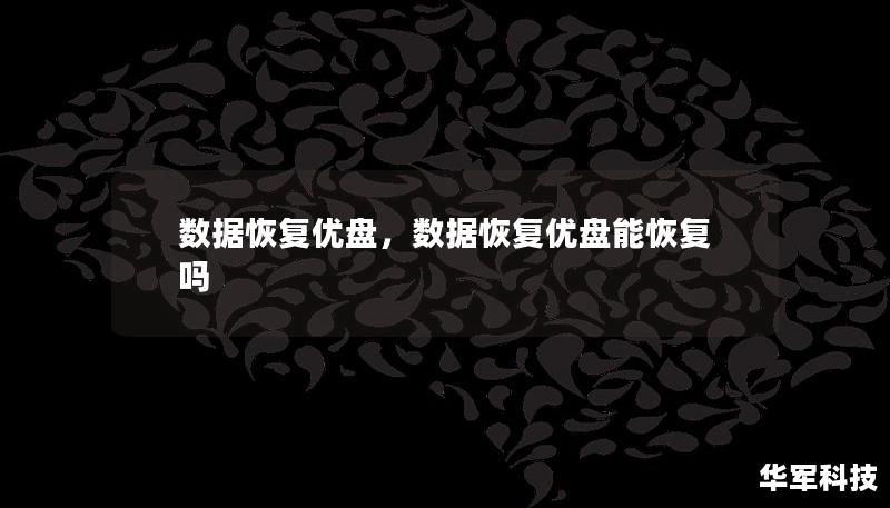 数据恢复优盘是专业的数据找回工具，让用户在数据丢失时可以迅速恢复丢失的文件，特别适合那些没有备份的重要文件和照片的用户使用。