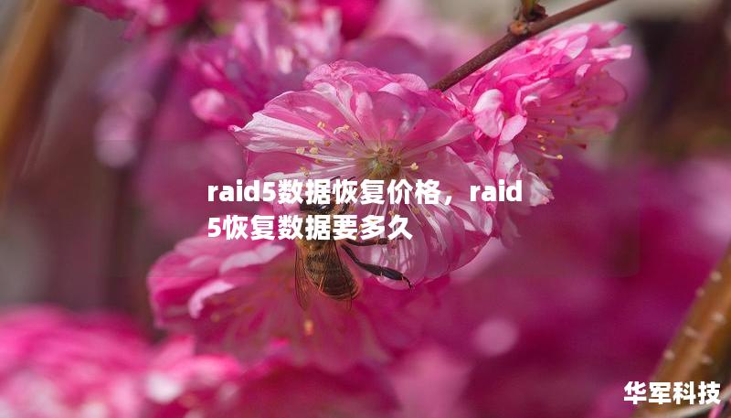 本文将详细探讨RAID5数据恢复的价格构成、影响因素以及选择合适服务商的注意事项，帮助企业和个人了解数据恢复的重要性和如何降低风险。