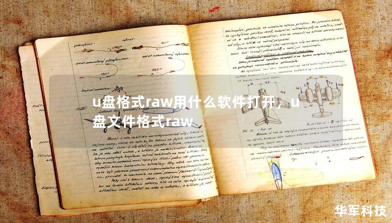 u盘格式raw用什么软件打开，u盘文件格式raw