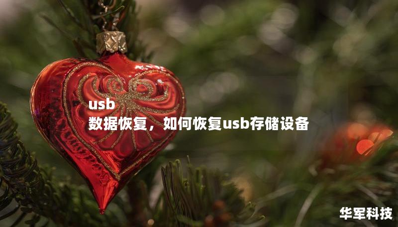 usb 数据恢复，如何恢复usb存储设备