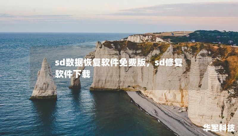 sd数据恢复软件免费版，sd修复软件下载