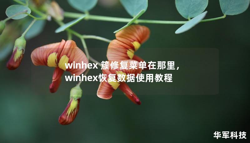 winhex 簇修复菜单在那里，winhex恢复数据使用教程