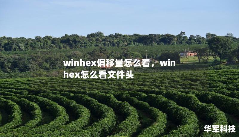 winhex偏移量怎么看，winhex怎么看文件头