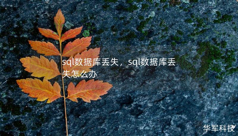 sql数据库丢失，sql数据库丢失怎么办