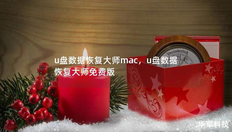 u盘数据恢复大师mac，u盘数据恢复大师免费版