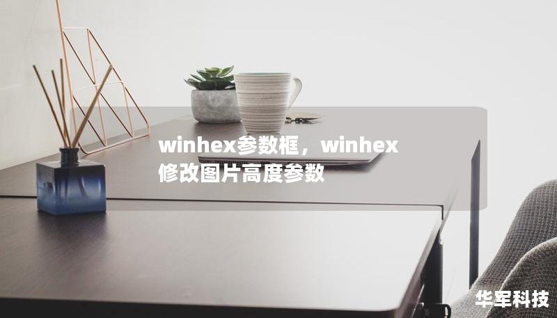 本文将带你深入了解WinHex参数框的强大功能与实用技巧，帮助用户高效处理数据，优化工作流程。