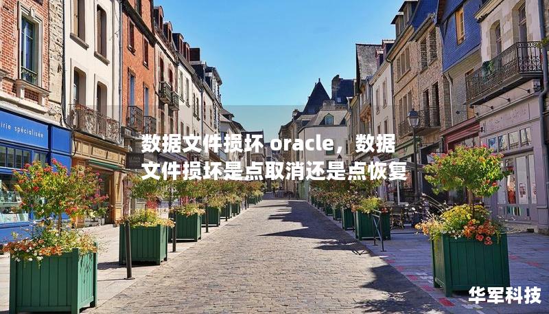 本文将深入探讨Oracle数据库中数据文件损坏的原因、影响以及如何有效修复。通过详细的分析和专业的解决方案，帮助读者理解并掌握处理数据库损坏的常见方法，确保业务数据的安全性与连续性。