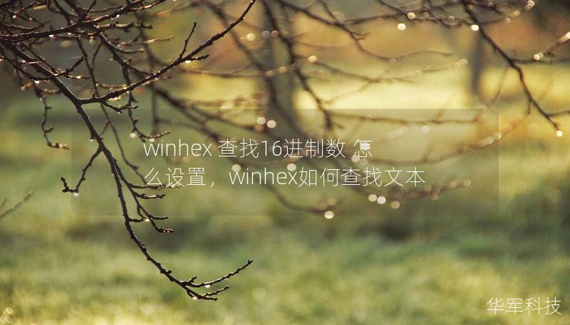 本文将为您详细介绍如何使用WinHex工具查找16进制数，并提供详细的设置步骤和操作技巧，助您轻松掌握这一强大工具。