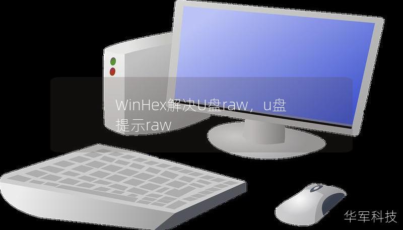 WinHex解决U盘raw，u盘提示raw