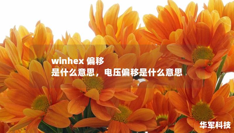 本文将为你详细解读WinHex偏移的含义及其在数据恢复和分析中的应用，帮助你深入理解这款专业工具的核心功能，让你轻松掌握偏移操作，实现更精细的数据修复。