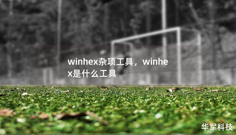 winhex杂项工具，winhex是什么工具