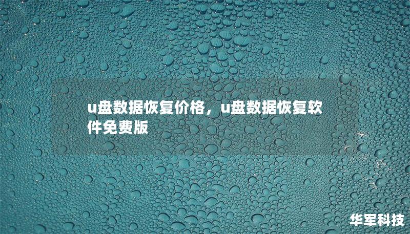 本文将为您详细介绍U盘数据恢复的价格因素、常见收费标准以及如何在数据恢复服务中省钱，帮助您在遇到数据丢失时做出明智的选择。