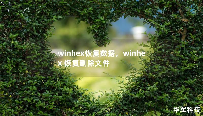 WinHex是一款功能强大的十六进制编辑工具，不仅用于高级数据分析，还在数据恢复方面表现出色。本文将深入探讨WinHex如何帮助恢复丢失的数据，并为用户提供操作指导，帮助他们快速有效地找回重要文件。