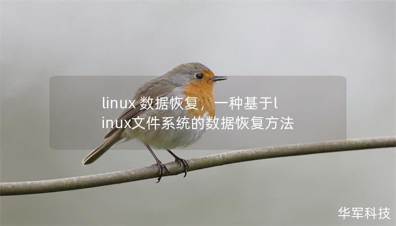 本文深入探讨了在Linux系统中丢失数据时，如何通过专业工具和技巧进行数据恢复，帮助读者快速掌握有效的解决方案，并防止数据永久丢失。