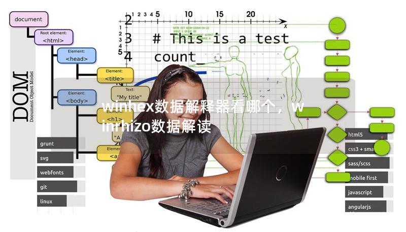 探索WinHex数据解释器的强大功能，了解如何使用这一工具轻松查看和分析文件数据。