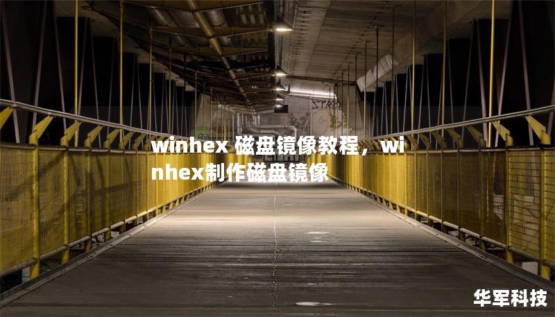 本文详细介绍了使用WinHex进行磁盘镜像的操作步骤与技巧，帮助用户轻松实现数据的安全备份与恢复。不论是个人用户还是专业技术人员，都可以从中获益。