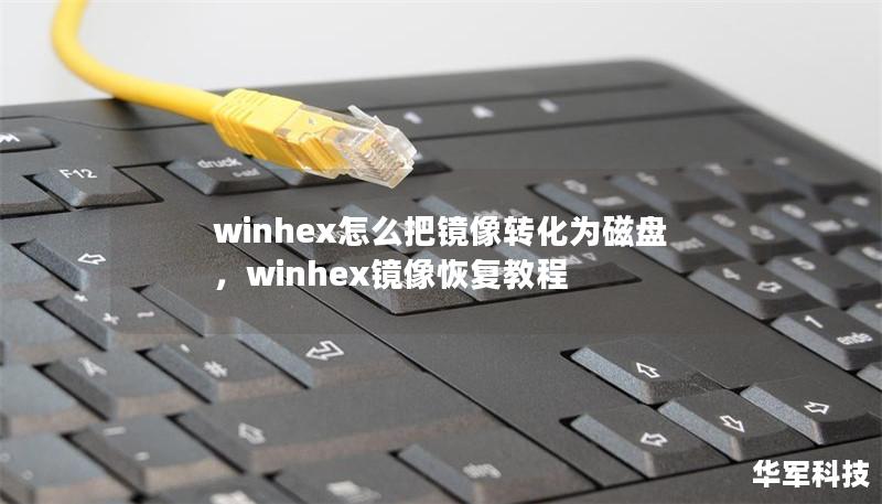 winhex怎么把镜像转化为磁盘，winhex镜像恢复教程