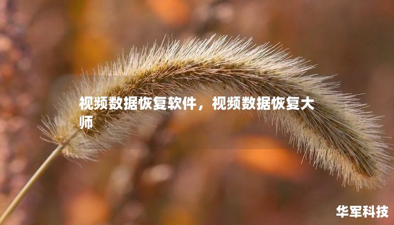 视频数据恢复软件,视频数据恢复大师 视频数据恢复软件,视频数据恢复大师