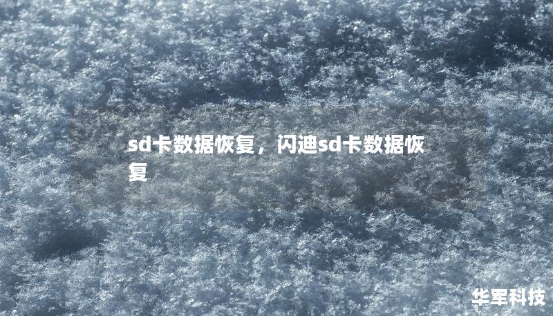 本文详细介绍了SD卡数据恢复的方法和步骤，帮助您找回丢失的珍贵数据。无论是意外删除还是SD卡损坏，这篇指南将为您提供全面的解决方案，确保您的数据安全无忧。