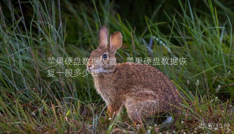 苹果硬盘数据恢复，苹果硬盘数据恢复一般多少钱