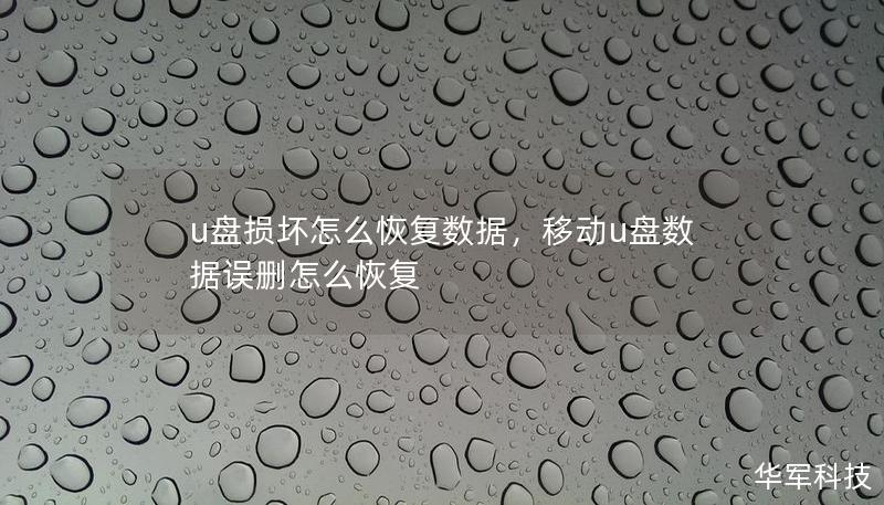 U盘损坏后，数据丢失往往让人焦急。本文将详细介绍如何恢复U盘中的数据，帮助你迅速找回重要文件。