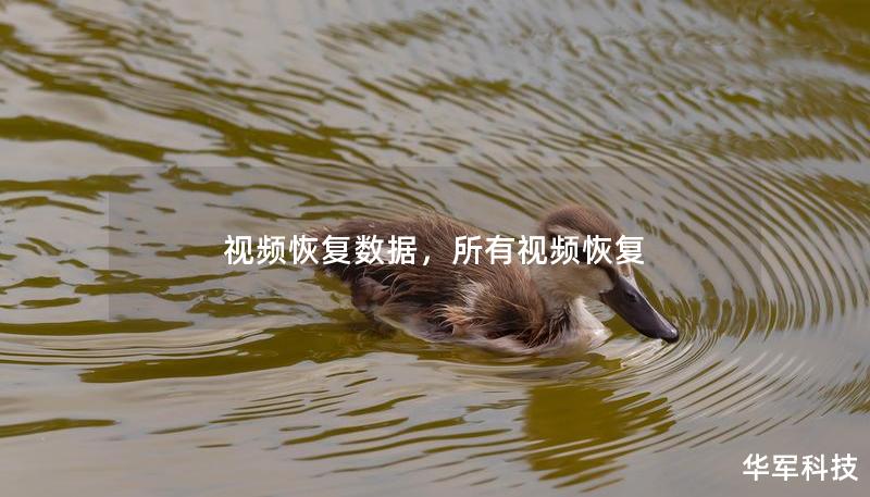 视频恢复数据,所有视频恢复 视频恢复数据,所有视频恢复