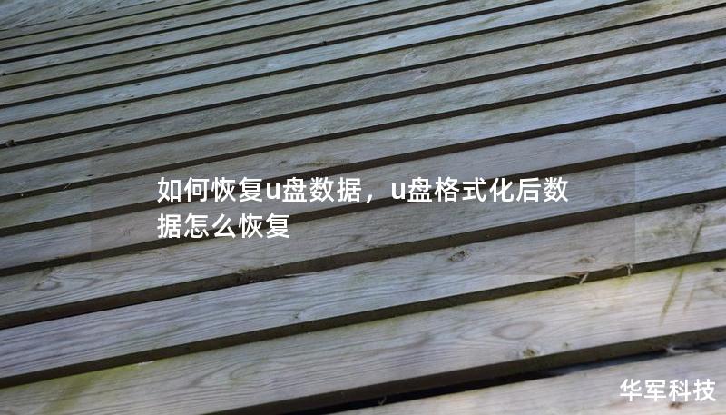 U盘数据丢失时，如何快速高效地找回？本文将详细介绍U盘数据恢复的常见原因、实用方法和预防技巧，帮助你迅速恢复重要文件。