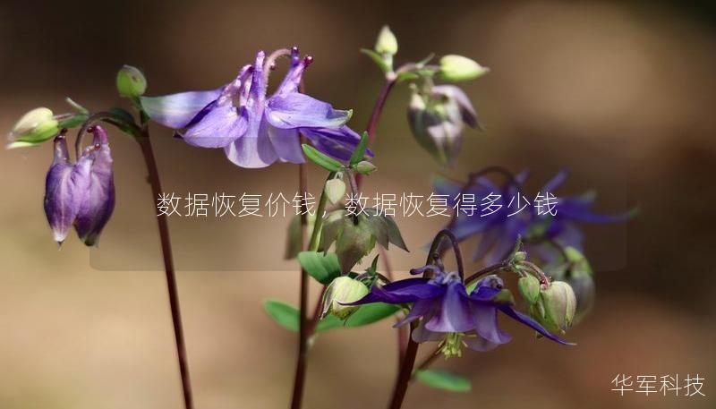 数据恢复价钱,数据恢复得多少钱 数据恢复价钱,数据恢复得多少钱