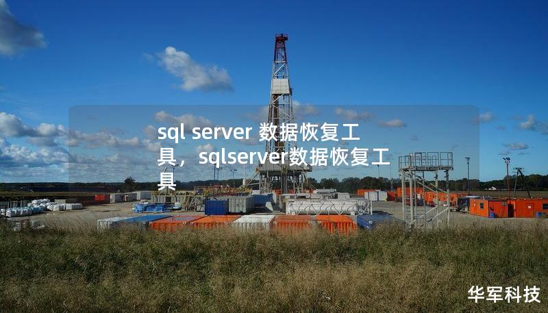 SQLServer数据恢复工具是企业数据管理中至关重要的工具之一。在应对数据丢失、数据库崩溃等意外情况下，强大的恢复工具可以帮助您快速、有效地找回宝贵数据，避免业务损失。这篇软文将介绍一款顶级SQLServer数据恢复工具的功能、优势及使用场景，助您轻松应对数据灾难。