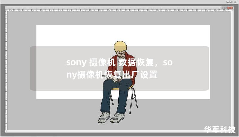 sony 摄像机 数据恢复，sony摄像机恢复出厂设置