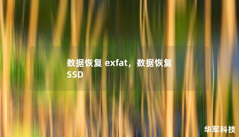 EXFAT文件系统广泛应用于存储设备，但数据丢失问题常令人头痛。本文介绍如何快速高效地恢复EXFAT文件系统中的数据，帮助您无忧找回重要文件。