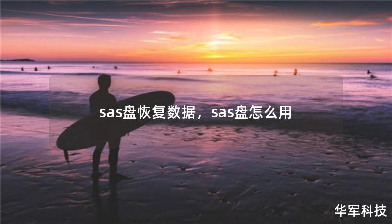 sas盘恢复数据，sas盘怎么用