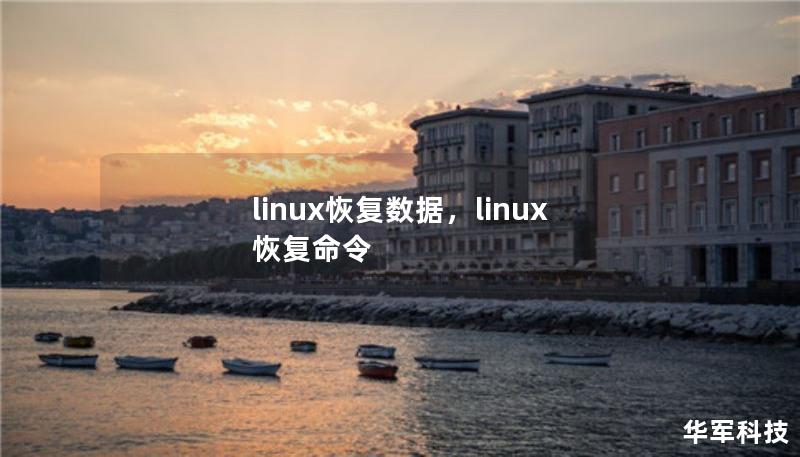 本文详细介绍了如何在Linux系统下恢复丢失的数据，涵盖了常见的数据丢失场景、恢复方法以及使用工具的步骤，帮助用户轻松应对数据丢失问题。