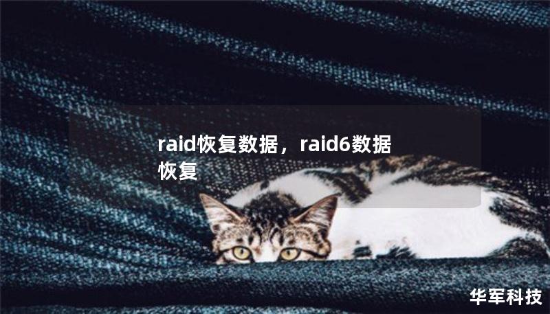 本文深入探讨RAID数据恢复的重要性，解析常见RAID故障原因，展示专业RAID数据恢复服务的优势，帮助您更好地理解并采取正确措施保障数据安全。无论是企业数据还是个人文件，RAID恢复服务都是确保数据完整性的关键解决方案。